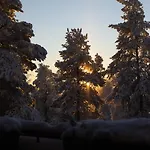Magic Winter Forest Lejlighed Rovaniemi