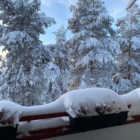 Magic Winter Forest Apartament Rovaniemi