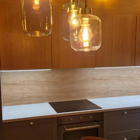 Magic Winter Forest 罗瓦涅米