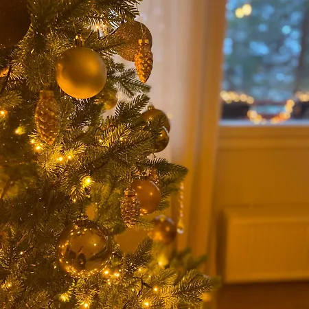 Magic Winter Forest Appartement Rovaniemi