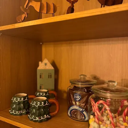 Magic Winter Forest Rovaniemi