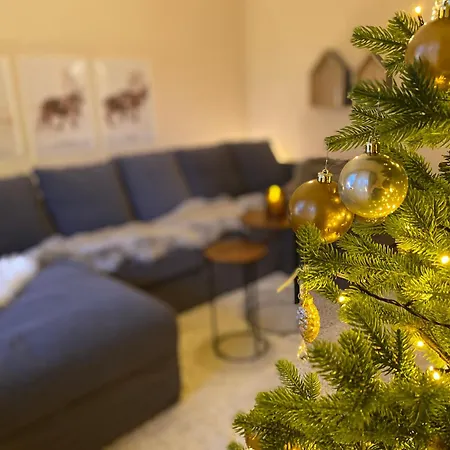 Magic Winter Forest 罗瓦涅米