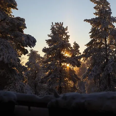 Magic Winter Forest 公寓 罗瓦涅米