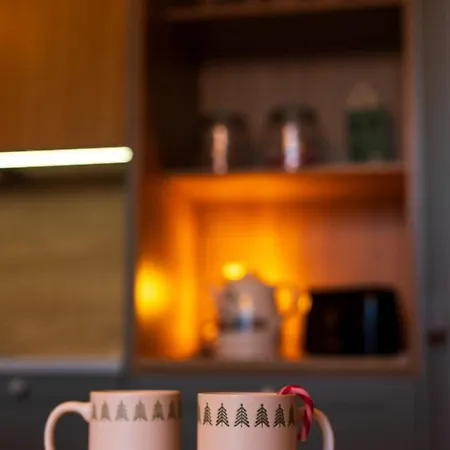 Magic Winter Forest * Rovaniemi