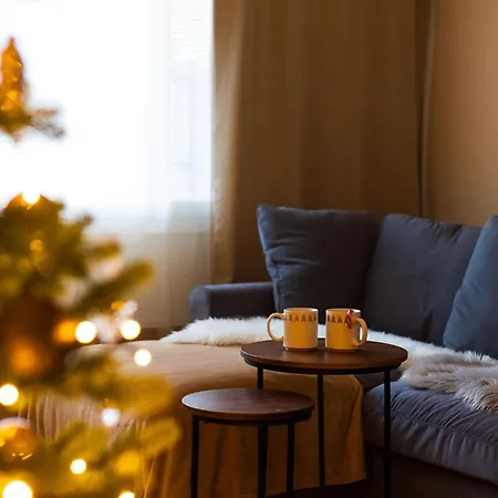 Magic Winter Forest Rovaniemi