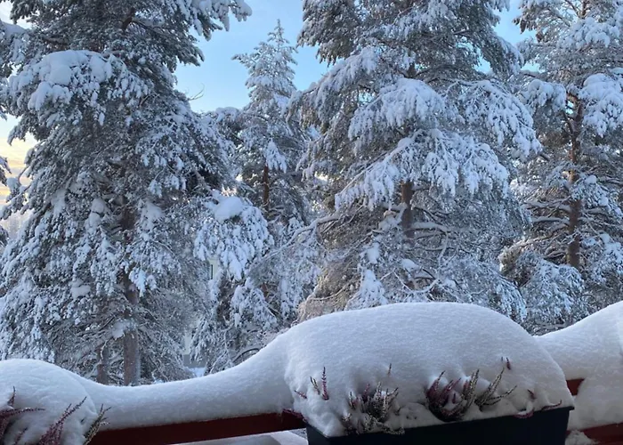 Magic Winter Forest Appartement Rovaniemi