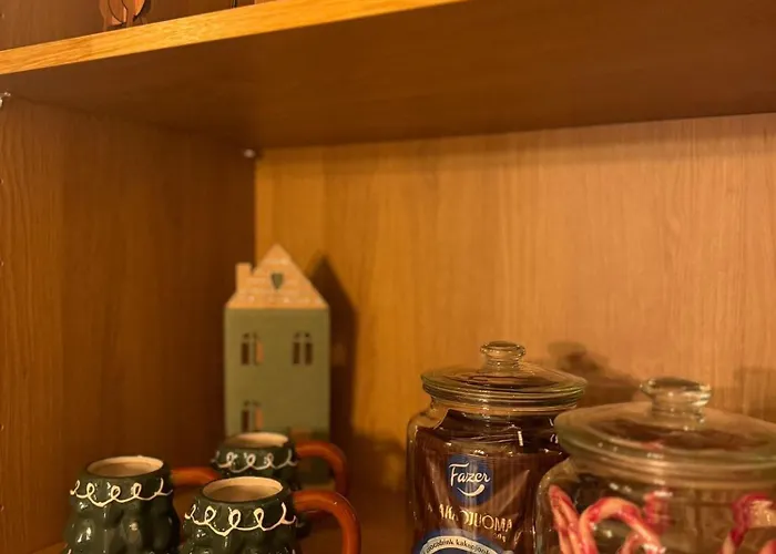 Magic Winter Forest Rovaniemi