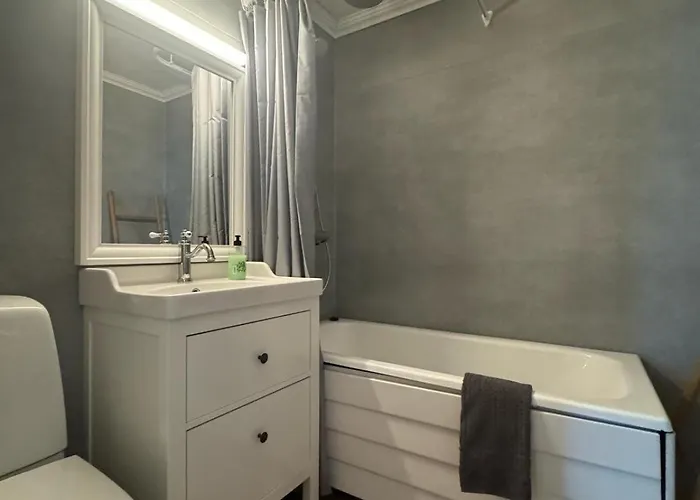 Magic Winter Forest * Rovaniemi