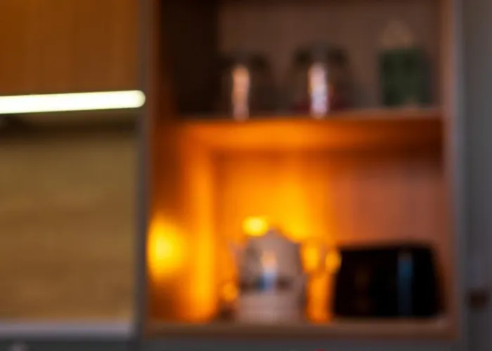 Magic Winter Forest * Rovaniemi