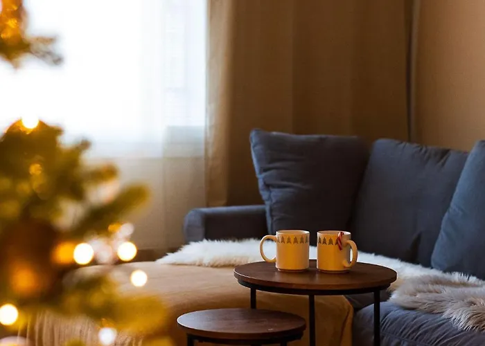 Magic Winter Forest Rovaniemi